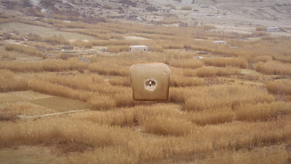 DIRECTOR & PHOTOGRAPHER