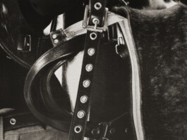 DIRECTOR & PHOTOGRAPHER