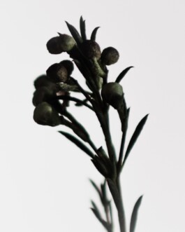 DIRECTOR & PHOTOGRAPHER